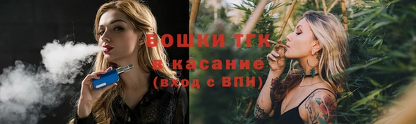 Альфа ПВП Бородино