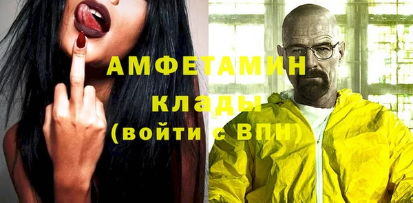Альфа ПВП Бородино