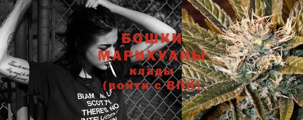молекула духа Верхний Тагил