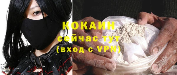 Альфа ПВП Бородино