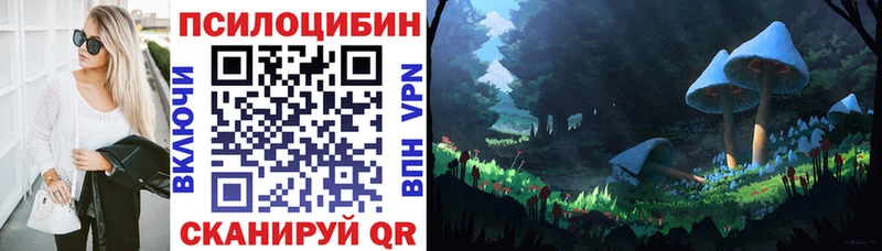 Псилоцибиновые грибы MAGIC MUSHROOMS  kraken как войти  Горняк 